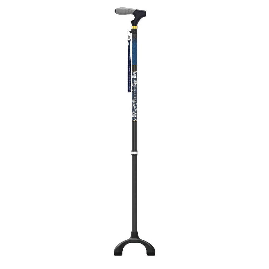 아이온 사발지팡이