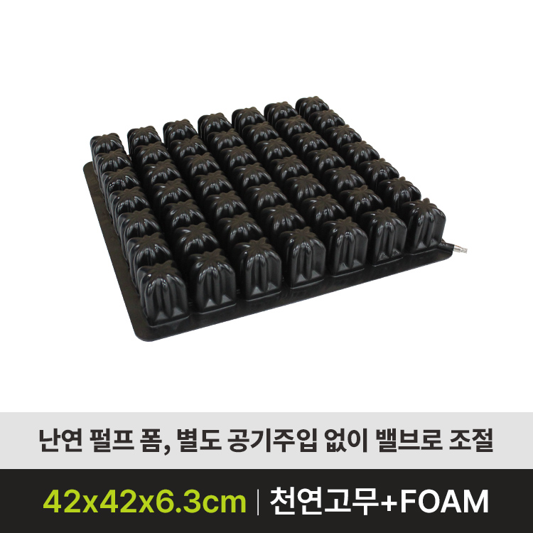 [보장구] BLESSON1